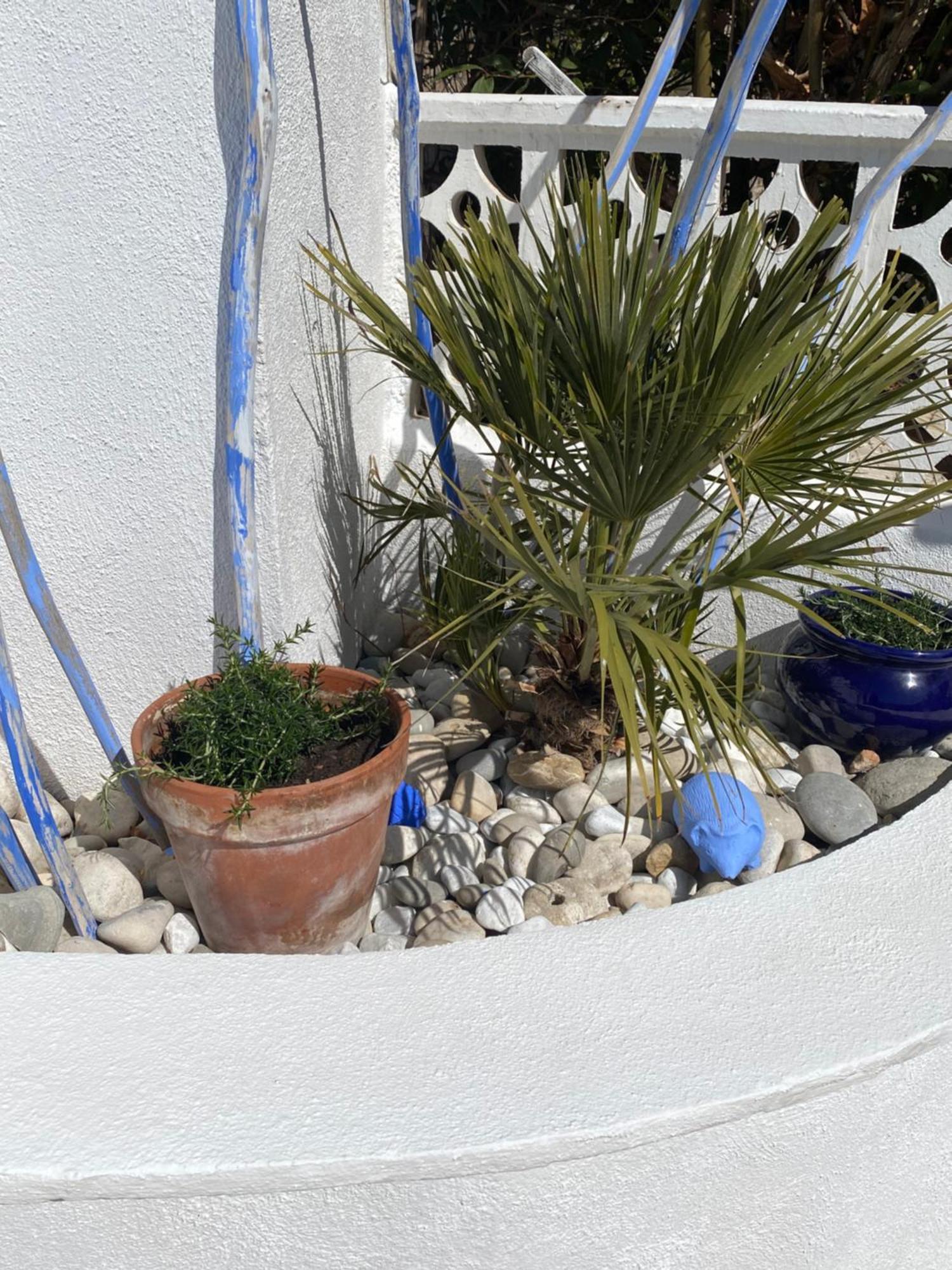 טאולאדה Bungalow Steps From Moraira מראה חיצוני תמונה